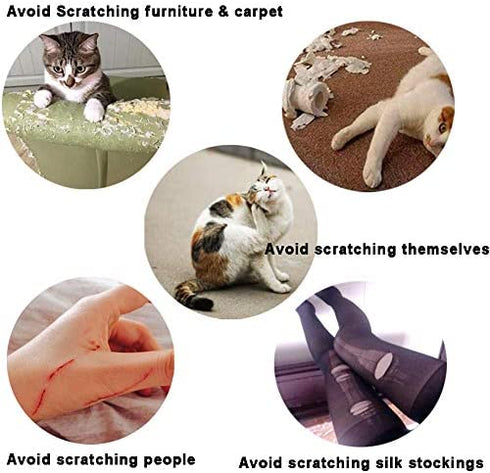 YMCCOOL 100pcs Cat Nail Caps/Tips Pet Cat Kitty Soft Claws Covers Control Paws of 10 Nails Caps and 5Pcs Adhesive Glue 5 Applicator with Instruction