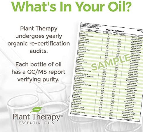 Plant Therapy USDA Certified Organic Turmeric CO2 Essential Oil 10 mL (1/3 oz) 100% Pure, Undiluted, Therapeutic Grade