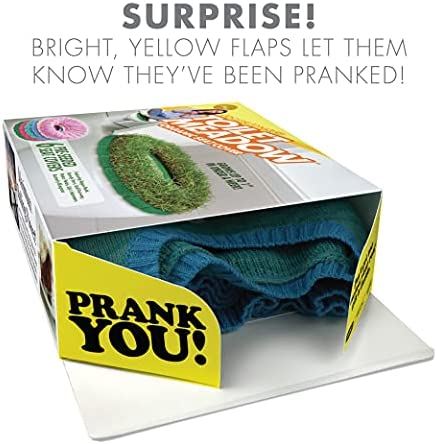 Prank Pack, Toilet Meadow Prank Gift Box, Wrap Your Real Present in a Funny Authentic Prank-O Gag Present Box | Novelty Gifting Box for Pranksters