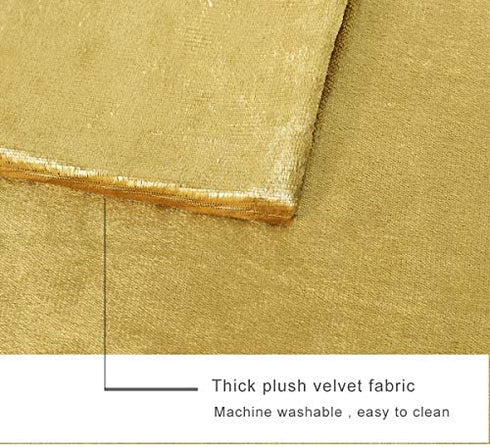 GIGIZAZA Gold Velvet Decorative Throw Pillow Covers for Sofa Bed 2 Pack Soft Cushion Cover