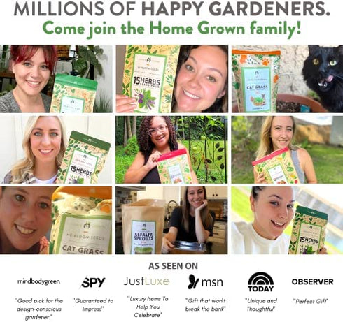 6 Herb Seeds Variety Pack – Plant an Indoor or Outdoor Herb Garden: Basil, Lavender, Cilantro, Parsley, Thyme and Oregano Seeds – 3200+ Non-GMO Heirloom Herb Seeds – Bonus Markers and Grow Guide