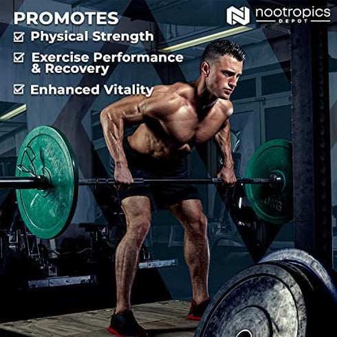 Cistanche tubulosa Tablets | 200mg | 60 Count | Minimum 50% Echinacoside + 10% Acetoside (Verbascoside) | Promotes Physical Strength and Energy | Promotes Vitality | Nootropics Depot