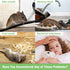 8 Pack Mouse Repellent Rodent Repellent, Peppermint Oil to Repel Mice and Rats, Mice Repellent Pest Insect Control