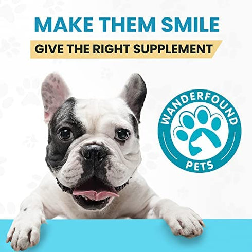 SAMeLQ 100, Liver Support for Dogs, SAM e Chewable Hepatic Support for Dogs, Promotes Cell Membrane Strength, Bacon Flavor (30 Count)