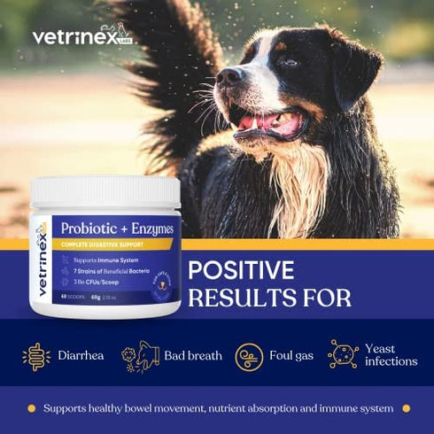Vetrinex Labs Coprophagia Poop Eating Deterrent & Prevention, Stop & Prevent Stool Eating Treatment - Probiotics for Dogs, Cats and Puppies - Forbids Dog from Eating Poop - Probiotic Powder