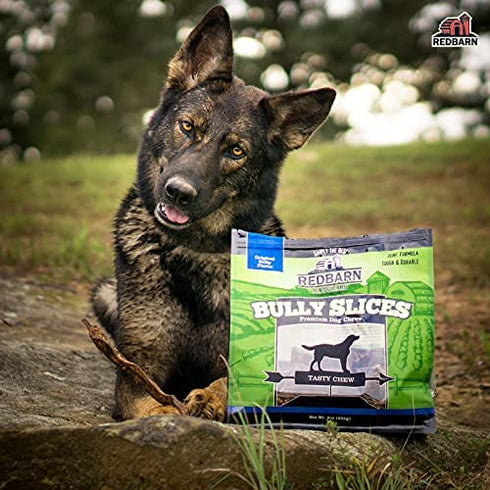 Redbarn Bully Slices for Dogs (French Toast) Natural Dental Treats (1 Bag)