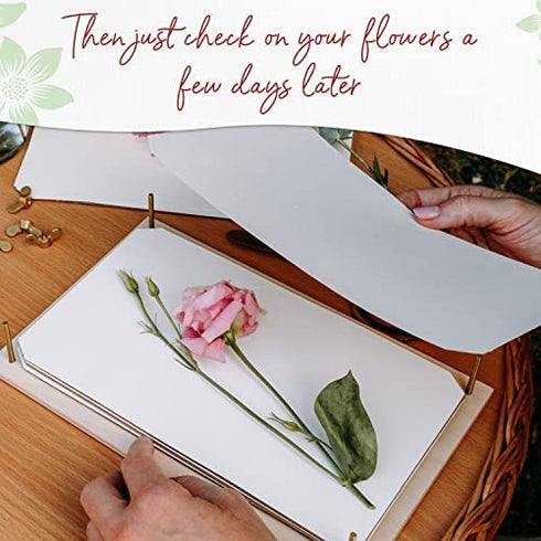 Blotting Paper for Flower Press by Berstuk® • Large A4 Flower Press Paper • Highly Absorbent and Reusable Herbarium Paper • Pack of 10 Blotting Paper Sheets