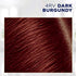 Clairol Root Touch-Up by Nice'n Easy Permanent Hair Dye, 4RV Dark Burgundy Hair Color, Pack of 1