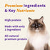 Halo Freeze Dried Raw Cat Treats, Salmon Recipe, Cat Treats Pouch, All Life Stages, 1.6-OZ Pouch