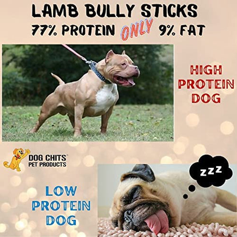 Dog Chits Lamb Pizzle (Lamb Bully Sticks) for Dogs and Puppies | 8-12-inch | All Natural Treats | Tasty Chew for Large and Small Dogs | Grass Fed Lamb | Low Odor | 8 oz (12 Pieces+)