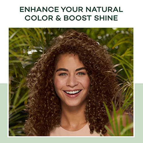 Clairol Natural Instincts Demi-Permanent Hair Dye, 2 Black Hair Color, Pack of 1