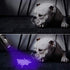 Blacklight Flashlight, Morpilot 2 in 1 UV Flashligh , 395 nm Black Light Flashlite for Pet Urine and House Stains Detecting, IP4 Waterproof, 4 Modes, 3 AAA Batteries Included