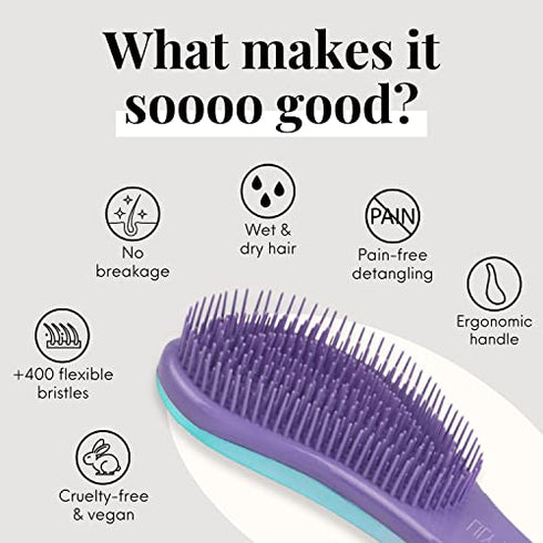 Detangling Brush. Detangler Hairbrush for Curly, Thick, Natural, Straight, Fine, Wet or Dry Hair for Women, Kids and Toddlers by Lily England (Ombre)