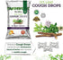 Herbion Naturals Ivy Leaf Cough Drops, Natural Honey Lemon Flavor, Dietary Supplement, for Adults and Children Over 6 Years, 25 Drops
