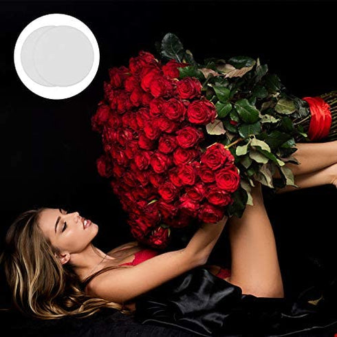 Maitys Replacement Steam Mop Scent Discs Fragrance Scented Pad Compatible with Bissell Powerfresh and Symphony Series Fits Model 1940, 1806 and 1132 (Fresh Favor,24 Pack)