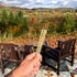 Clover Honey Sticks for Tea, Travel & Snacks - Premium Grade Pure Honey Packets are Farm Fresh from US Beekeepers - Each Honey Straw is full of Flavor that You'll Love - A Great Gift Idea (50)