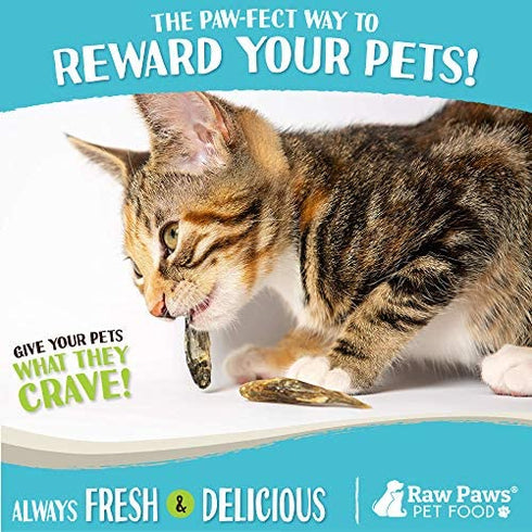 Raw Paws Pet Freeze Dried Minnows for Dogs & Cats, 2-oz - USA Fish Dog Treats - All Natural, Single Ingredient Minnow Cat Treats - Raw Freeze Dried Dog Snacks - Grain Free Cat Reward