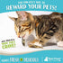 Raw Paws Pet Freeze Dried Minnows for Dogs & Cats, 2-oz - USA Fish Dog Treats - All Natural, Single Ingredient Minnow Cat Treats - Raw Freeze Dried Dog Snacks - Grain Free Cat Reward