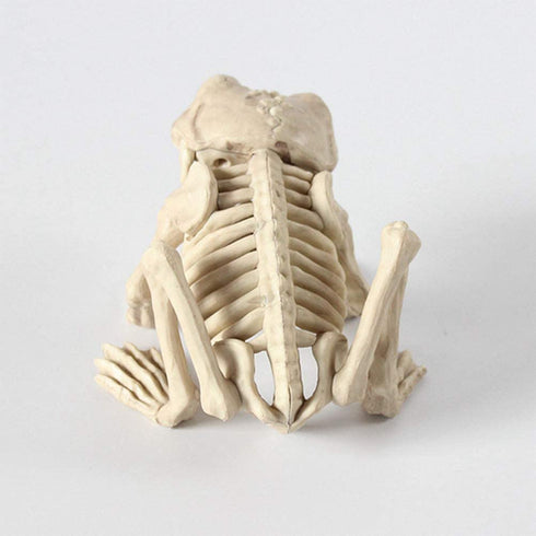 BESTOYARD 1pc Halloween Animal Scary Skeleton Props Happy Halloween Spooky Skull Animal Skeleton Frame (Frog)