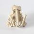 BESTOYARD 1pc Halloween Animal Scary Skeleton Props Happy Halloween Spooky Skull Animal Skeleton Frame (Frog)