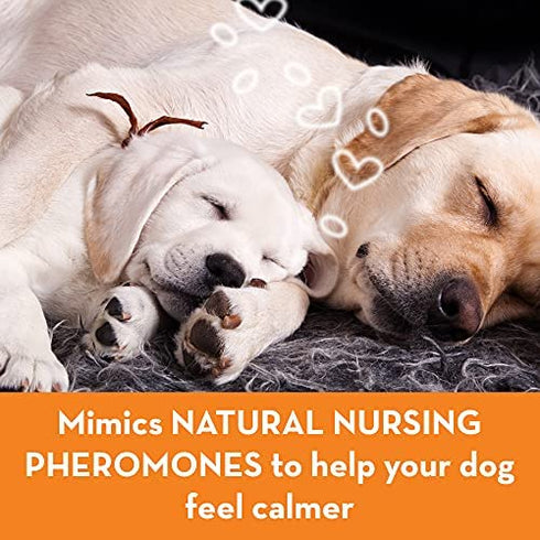 ThunderEase Dog Calming Pheromone Diffuser Refill | Powered by ADAPTIL | Vet Recommended to Relieve Separation Anxiety, Stress Barking and Chewing, and The Fear of Fireworks and Thunderstorms (60 Day