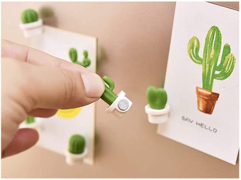 TabEnter Decorative Refrigerator Magnets, Perfect Fridge Magnets for House Office Personal Use (12Pcs Cactus)