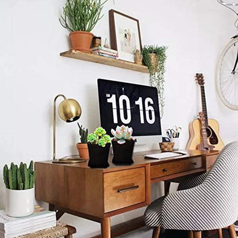 Xilanhhaa 24 Pack 3 inch Black Square Nursery Flower Pots Plastic Plant Pot with Saucer,Seedling Nursery Transplanting Planter Container for Your Room,Garden Office and Balcony Decor
