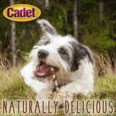 Cadet Gourmet Twists - Long Lasting Chewy Chicken and Duck Wrapped Natural Dog Treats