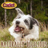 Cadet Gourmet Twists - Long Lasting Chewy Chicken and Duck Wrapped Natural Dog Treats