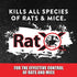 EcoClear Products 620104, RatX All-Natural Non-Toxic Humane Rat and Mouse Killer Pellets, Ready-To-Use Pre-Measured 3 oz. Bait Trays, 2-Pack