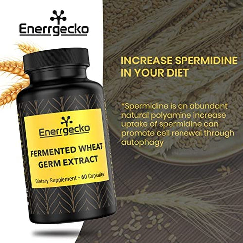 Enerrgecko Spermidine Wheat Germ Extract Capsules- Spermidine Supplement 1000 mg Potent Formula with Zinc for Mitochondrial Rescue, 60 Count (Pack of 1)