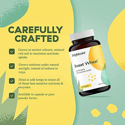 Brightcore Nutrition Sweet Wheat, Ready-to-Drink Athletic Greens, Super Greens with Digestive Enzymes for Digestive Health and Immune Boost, 180 Wheatgrass Juice Powder Capsules