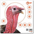 EZ Aim™ Paper Shooting Target Turkey Target by Allen®, 12 inch x 12 inch, 6 Pack, Multicolor, One Size (15322)