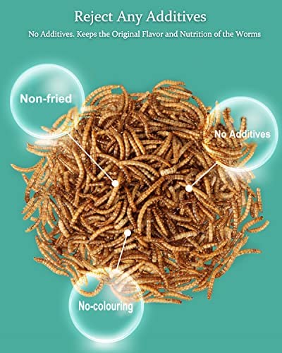 Reptile Food Dried Mealworms Pet Worms Food for Bearded Dragon, Lizard, Turtles, Chameleon, Monitor, Frog, Sugar Glider, Chickens, Ducks, Wild Birds, Fish, Hamsters and Hedgehogs (3.5 OZ)