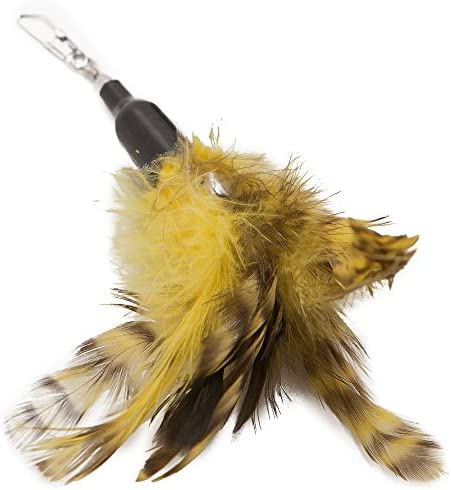 The Natural Pet Company Cat Toys Feather Refill 6 Pack - Add Life to Your Cat's Favorite Toy with This Interchangeable Feather Refill Multipack (As Photographed).