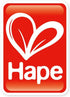 (Single) - Hape E3500 Modern Family (Caucasian)