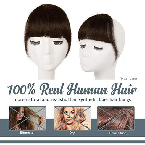 Clip in Bangs, BARSDAR 100% Human Hair Bangs Extensions French Bangs Neat Bangs with Temples Clip on Fringe Bangs Real Hair for Women Natural Color Washable/Dyeable(Neat-Dark Auburn Brown)