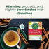 Traditional Medicinal's Gypsy Cold Care Herb Tea (3x16 bag)