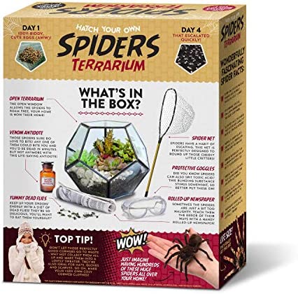 Seymour Butz Prank Gift Box Hatch Your Own Spider Terrarium - Perfect Gag Gift and Funny White Elephant Idea