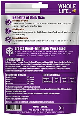 Whole Life Pet Living Treats for Cats – Healthy Skin with Salmon and Yogurt – Human Grade, Omegas, Allergy Relief - Made in The USA