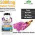 Sambucus Elderberry 5,000 mg Super Concentrated 65:1 with Vitamin C & Zinc - Sambucus Extract Immune Support, Immune Defense| Non-GMO | 90 Veggie Capsules