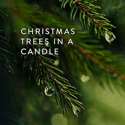 Thymes Tin Candle - 2.5 Oz - Frasier Fir