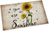 Segard Rustic Sunflower and Bees Doormats Entrance Front Door Rugs Farm My Sunshine Floral Decorative Indoor/Bathroom/Kitchen/Bedroom/Entryway Floor Bath Mats, Non-Slip Rubber Backing Carpets