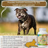 Multivitamin for Dogs and Cats. Prenatal Dog Vitamins, Minerals and Amino Acids. Senior Dog Vitamins and Supplements for dogs & cats. Puppy Vitamins for your dog allergy relief-Complete Dog Supplement