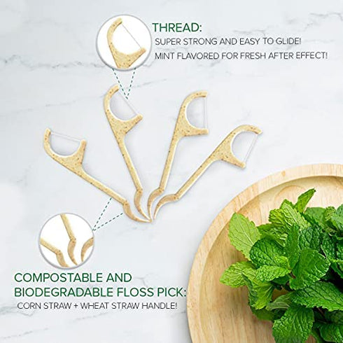 Natural Dental Floss Picks - Eco Friendly Cruelty Free & Vegan Tooth Flossers Pick Set with Biodegradable and Compostable BPA Free Handle & Zero Waste Packaging - 200 Pack (Mint Flavored)
