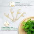 Natural Dental Floss Picks - Eco Friendly Cruelty Free & Vegan Tooth Flossers Pick Set with Biodegradable and Compostable BPA Free Handle & Zero Waste Packaging - 200 Pack (Mint Flavored)