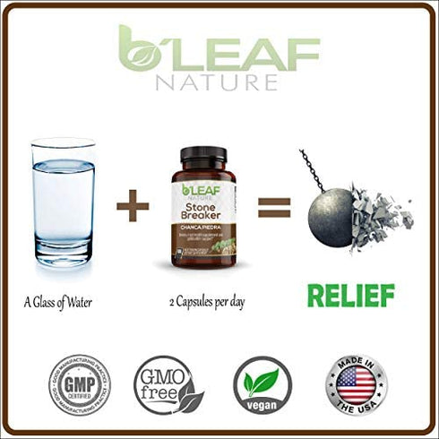 Stone Breaker Chanca Piedra Extract 1000mg - Urinary Tract and Gallbladder Support - 100 Vegetarian Capsules by B’Leaf Nature