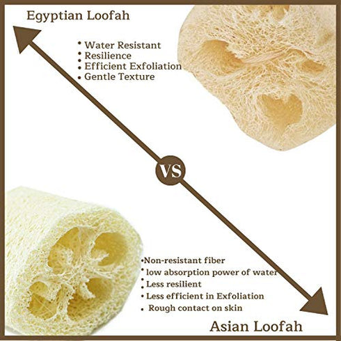 Set of 10 Natural Loofah Facial Pads, Resuable Exfoliating Loufa Scrubber Rounds for Face Cleansing and Makeup Removal ,Eco Friendly, Non Toxic Chemicals by Serrento