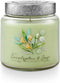 Tried & True Eucalyptus & Sage, 15.5 oz. Candle, Green