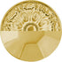 Hickory Hardware HH075336-BGB Skylight Collection Pull, 12 Inch Center to Center, Brushed Golden Brass